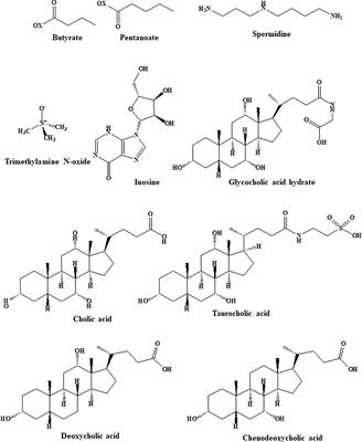 The impact of microbially modified metabolites associated with obesity and bariatric surgery on antitumor immunity